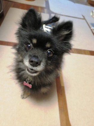 2017(H29)-10-16  (4)