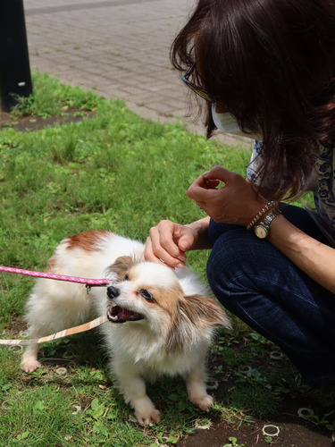 2021(R3)-5-8 ボニーお見合い (5)