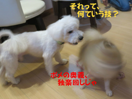 BlogPaint