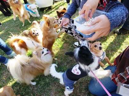 2015(H27)-10-25 第2回卒オフ (199)