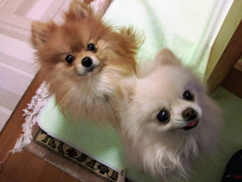 2021(R3)-1-28 ����3ǯ������� (7)