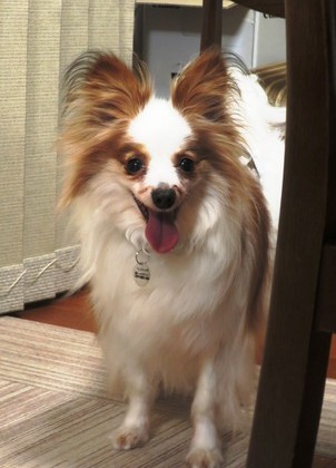 2019(H31)-3-7 �ӥӥ�Υ��ե��� (5)