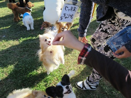 2015(H27)-10-25 第2回卒オフ (202)