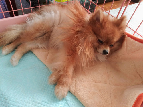 2021(R3)-1-20 �ߥ����ο���� (6)