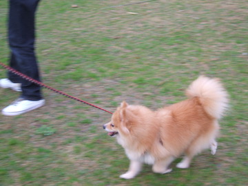 トライアル3・4日目(2)