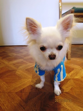 2017(H29)-5-18 ̵н (2)