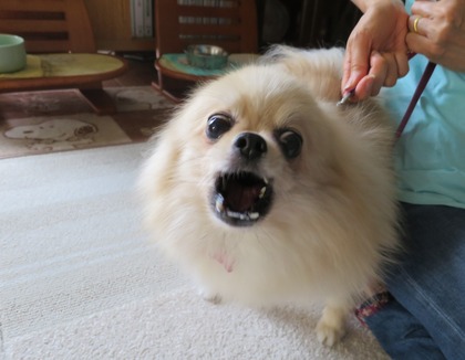 2017(H29)-7-3 �ť��� (2)