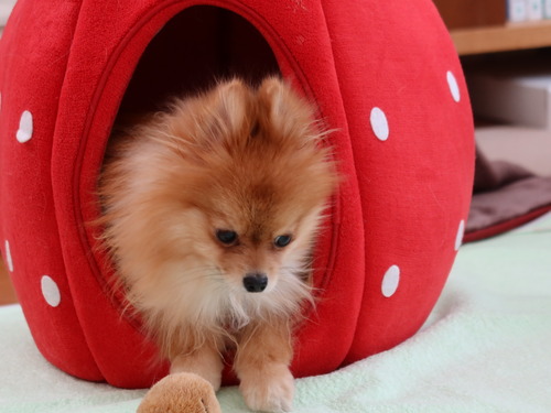 2021(R3)-2-20 Ƥåԡ (8)