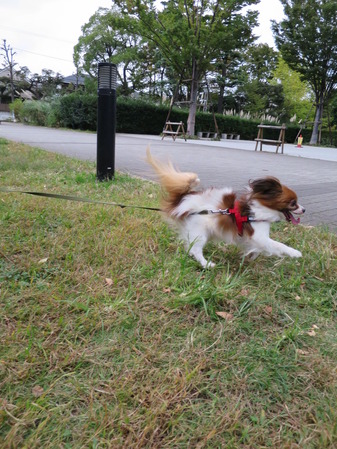 2014(H26)-10-9 かっぱさんと (7)