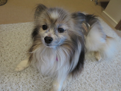 2019(R1)-5-11 Ǥ (12)