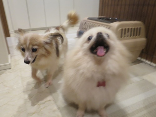 2020(R2)-9-12 ¤ª»¶Êâ½àÈ÷ (9)