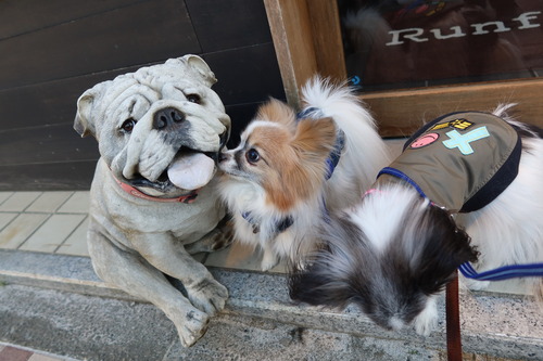 2021(R3)-1-14 ������Ȱ��� (6)