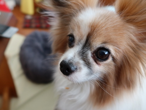 2021(R3)-2-25 ママがご飯の最中は (7)