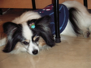 くたびれました