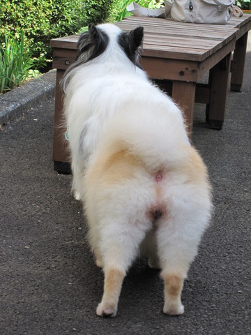 ��ͤ���ϡ���