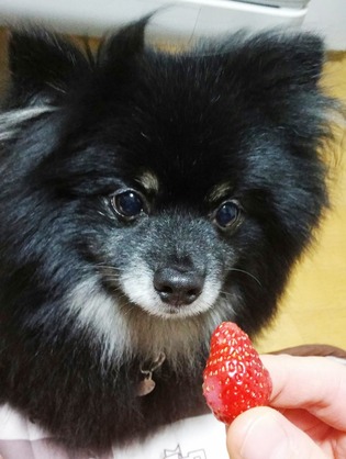 2018(H30)-5-24 ȥ饤2 06