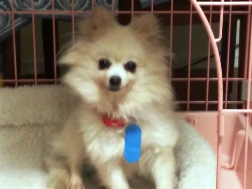 �������� 2019(R1)-12-2 (2)