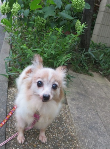 2020(R2)-7-20 ߱äƾд (8)