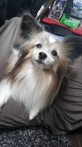 2019-9-25 トライアル中 (1)