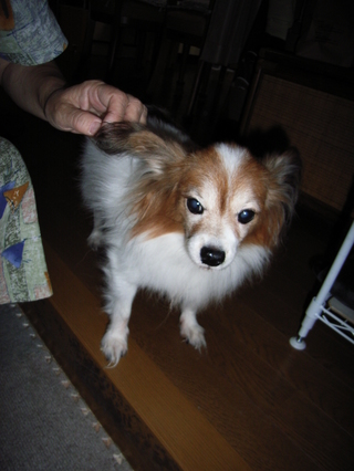 ����ä��㤤