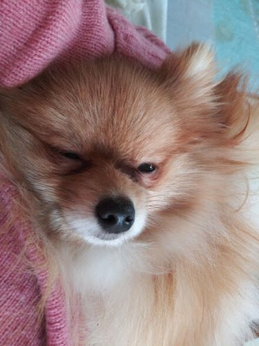 2020(R2)-12-19 äȤ (10)