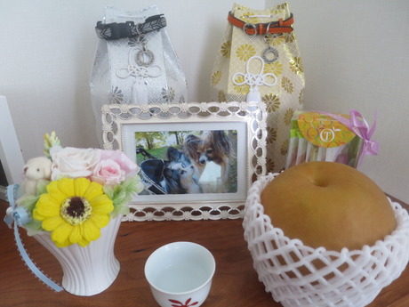 2020(R2)-10-5 ���åײȤ������ (1)