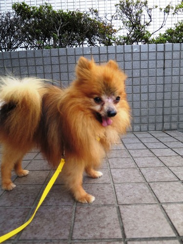 2016(H28)-8-31 ���ͤ��Ͻ� (1)