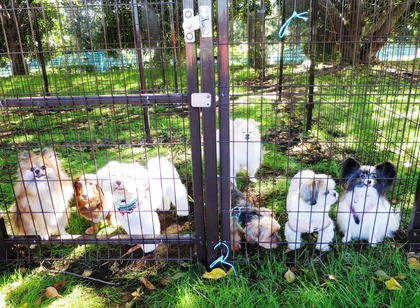 2017-11-3 卒オフ会 (5)