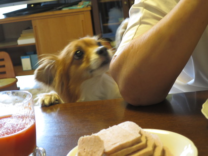 2018(H30)-7-18 İ˥å (13)