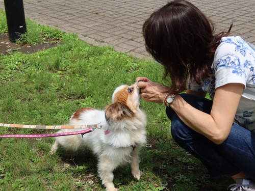 2021(R3)-5-8 ボニーお見合い (4)