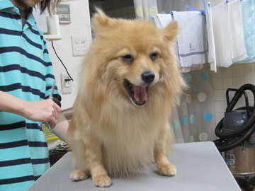 �Ǹ�Υȥ�ߥ�