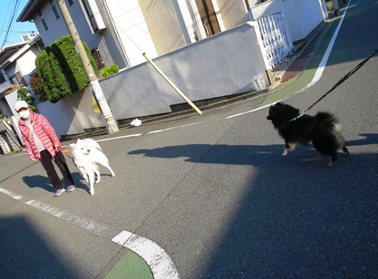 2018(H30)-3-12 春が来てるね! (8)