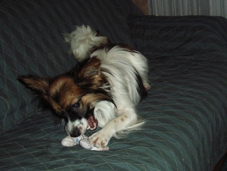 ハイテンション 4