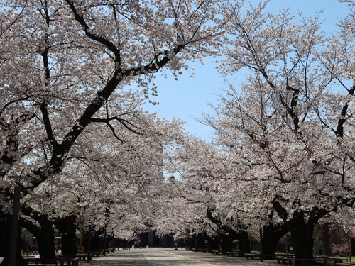 2021(R3)-3-27 3ǯΩκ (13)