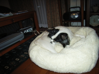 �ޥ����ܡ����