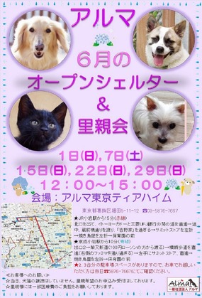 ALMA 6月オープンシェルター&里親会