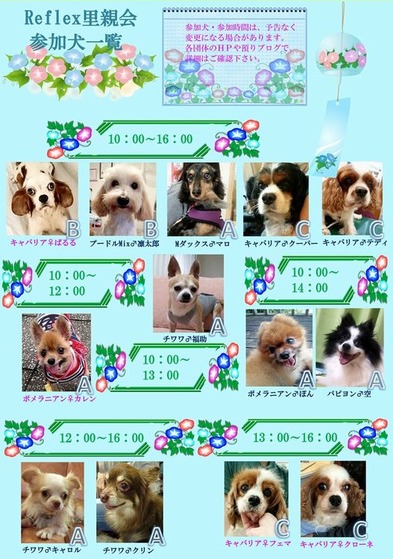 参加犬一覧150718(中)