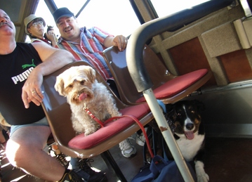 ロートフォルン登山電車