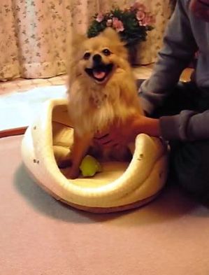 �ȥ饤����