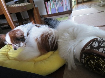 2016(H28)-4-24 無遠慮に (3)