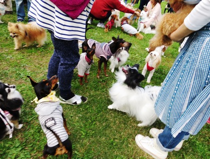 2017-11-3 卒オフ会 (52)