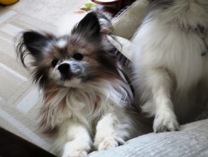 2019(R1)-5-16 ӤϤΤӤǤ⥪Ĥϡ (8)