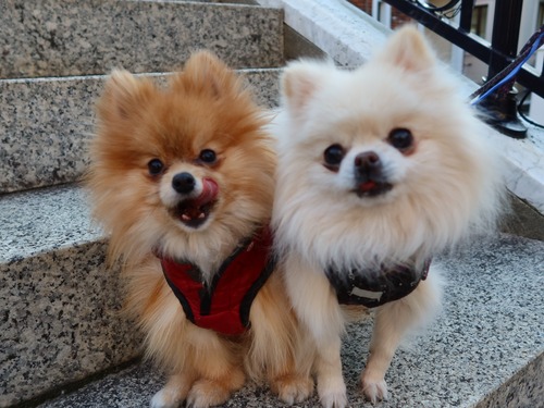 2021(R3)-1-21 ��ͳ���� ��������� (7)