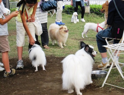 ラン