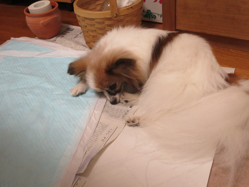 Ƭ 2019(R1)-11-24 (4)