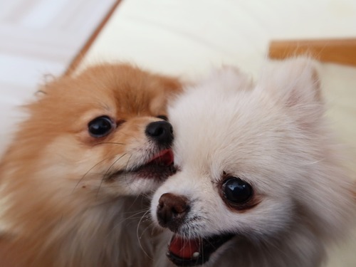 2021(R3)-2-25 ママがご飯の最中は (3)