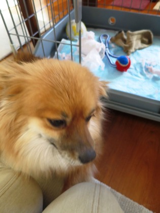 2019(H31)-2-1 いたずらしちゃったけど (4)