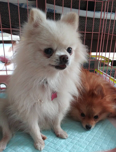 2020(R2)-12-3 դа˥