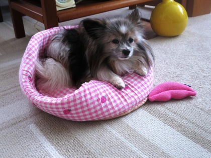 2019(R1)-6-7 ¥Ú¥Ã¥Á¥ã¥ó¥³ (2)