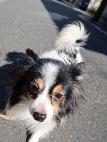 2021(R3)-3-14 トムのお見合い (16)